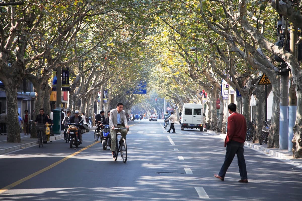 French Concession tree-lined street in Shanghai with cafes and colonial architecture